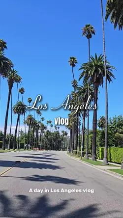 Los Angeles Vlog 