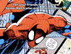 NEW Spider Man