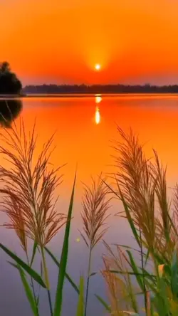 Emotional blessing s