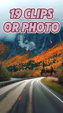 19 clips or photo 