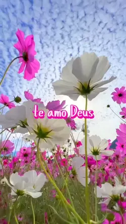 te amo Deus