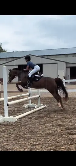 I love my pony 💜💜💜