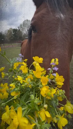 🌼