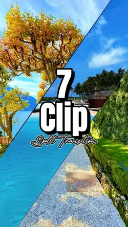 Split Transition