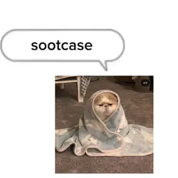 I like my sootcase 