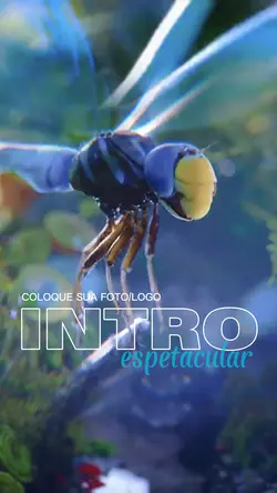 INTRO ESPETACULAR