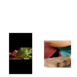 Cooking template