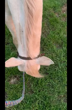 Slow motion 