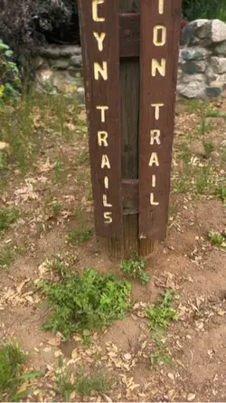 Spring hike vibes