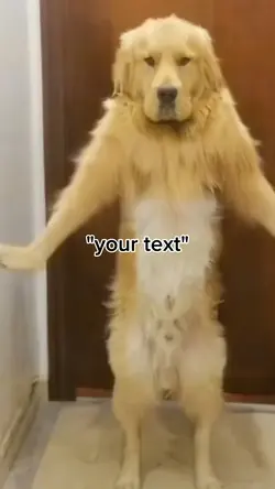 dog dancing meme