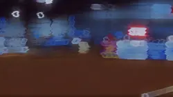 rodeo