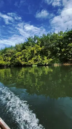 Cinematic sungai