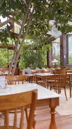cafe aesthetic 🌼