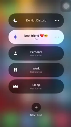 Best Friend New 