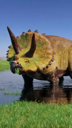 dinosaur