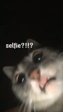 selfie