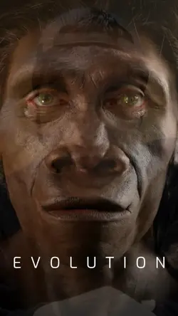 Human Evolution