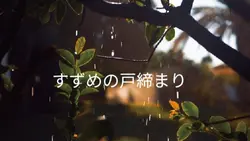 Aesthetic japan