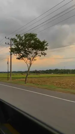 road trip