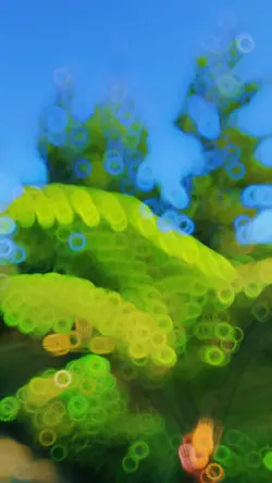 Cinematic x Nature