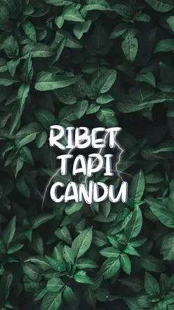 TYPOGRAPHI 