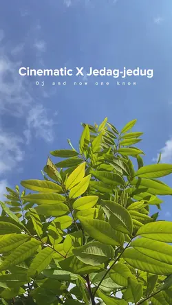 Cinematic X JJ
