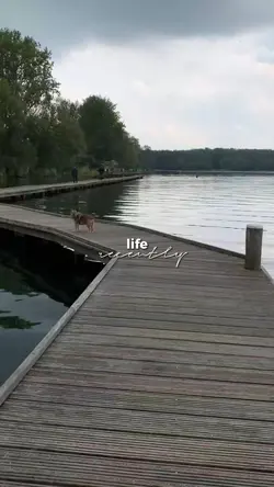 life recently 