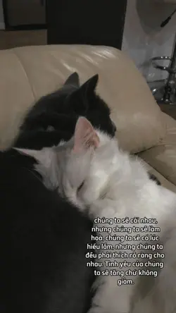 Yêu