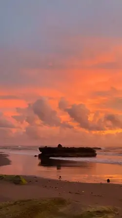Vidio Pantai 14 dtk