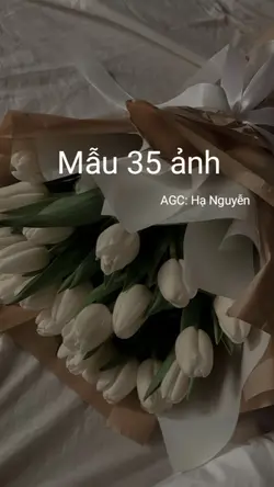 Mẫu 35 ảnh cháyyy