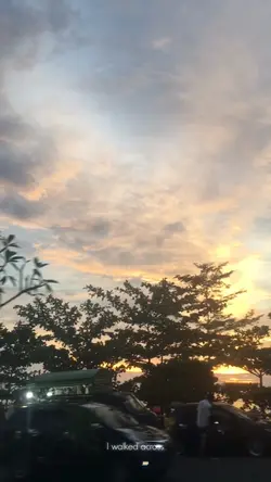 Video estetik