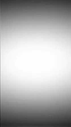 flip-top 