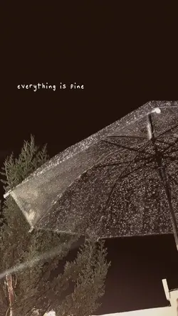 Everything is fine 
