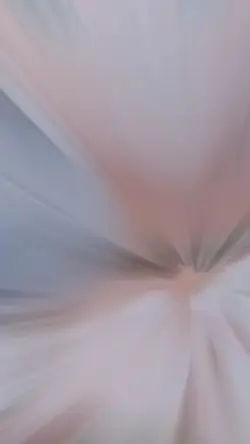 giáng sinh vui vẻ 