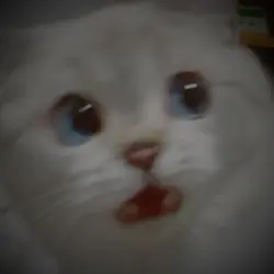 pewpapayi
