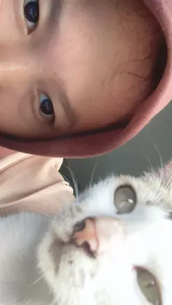 sebab kau terlalu in