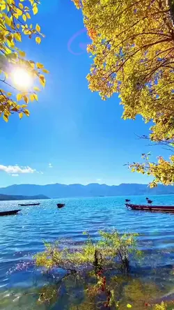 Chữ Thư Pháp 