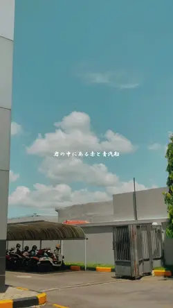 Japan vibes