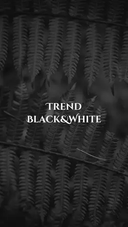Trend Black White