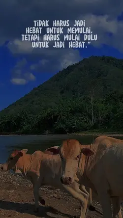 Filter berubah