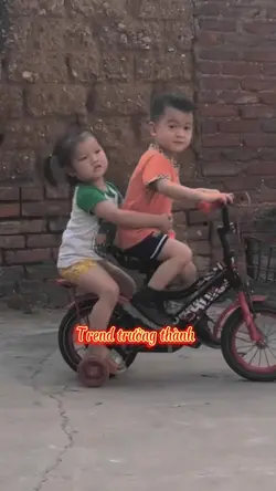 Mẫu trưởng thành 