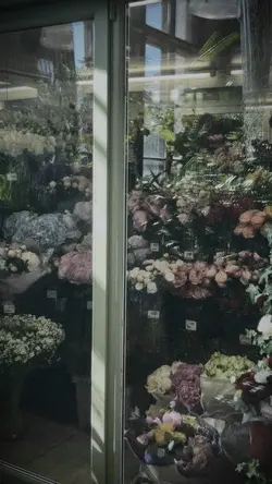 MẪU 2 ảnh 