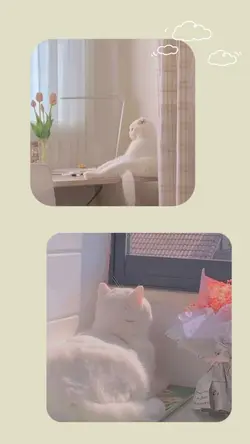 2 ảnh + màu