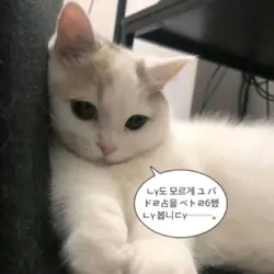 누구에게 고백 받으면 좋겠어요?