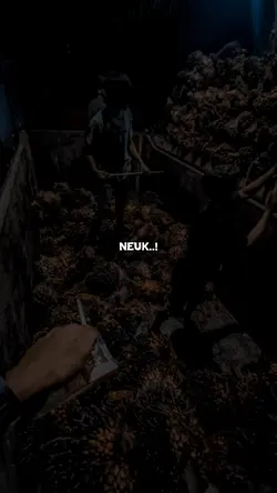 Neu meudoa mak 