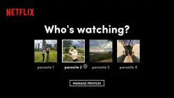 TREND NETFLIX