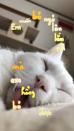 Em mê ngủ