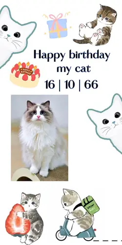 Birthday my cat
