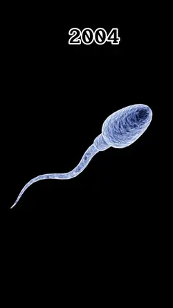 HERE'S 2004 BABIES