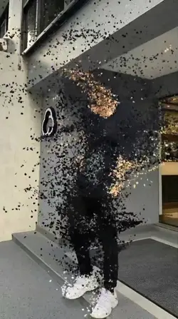 Particles | Perfect